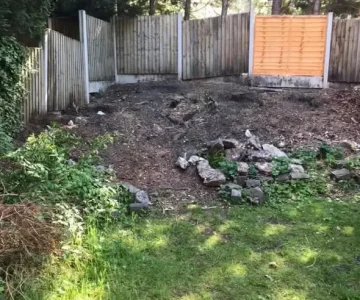2nd garden(3)